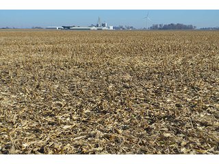 Tract 1 - FARMLAND AUCTION - 165.5+/- ACRES OFFERED IN 5 TRACTS OR COMBINATIONS IN EAST ALLEN COUNTY